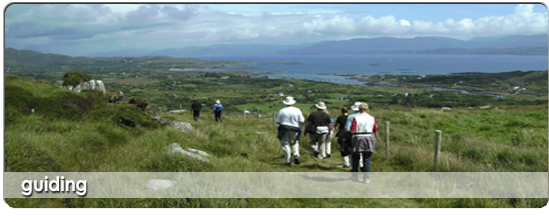 Irelands highest and most majestic mountains are located in Kerry and Cork. On the Iveragh Peninsula, Dingle Peninsula and Beara Peninsula, these mountains rise from the Atlantic Ocean to touch the clouds. 