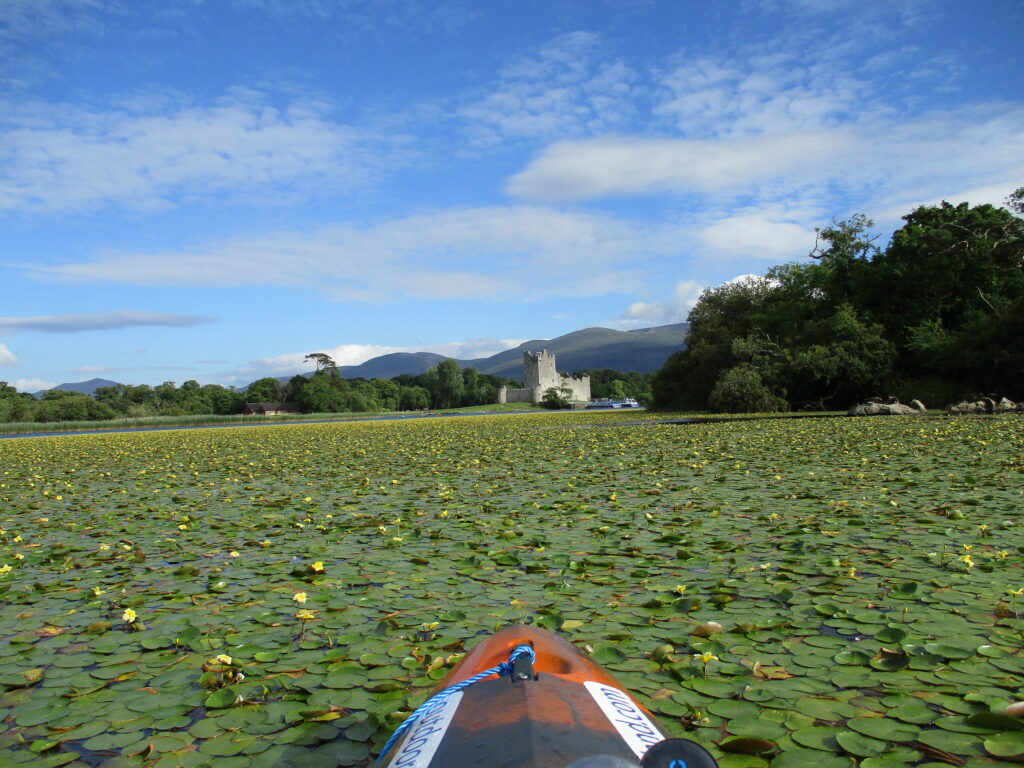 Sunset Kayaking Tour Ross Castle Lakes Of Killarney