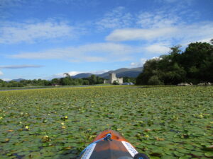 Sunset Kayaking Tour Ross Castle Lakes Of Killarney