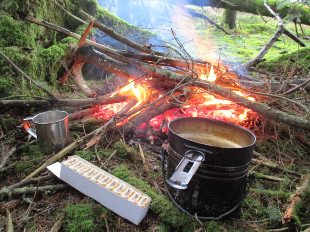 Getting A Fire Going From Spark & Birch Bark