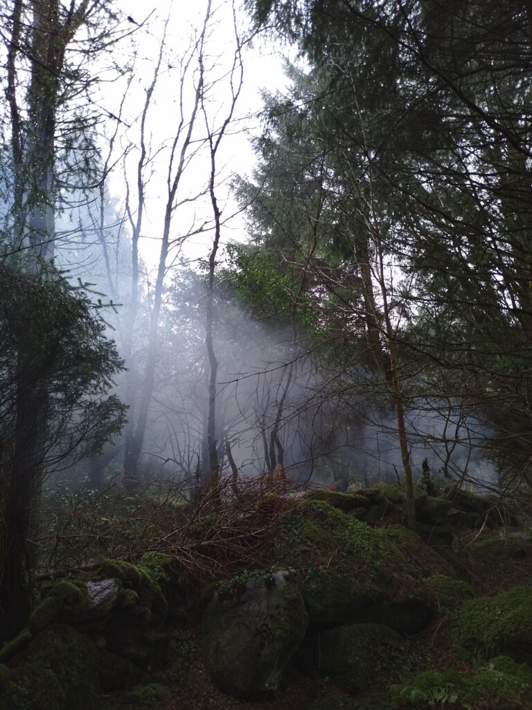 Bushcraft Skills 1 This Coming Weekend - Glengarriff/Cork