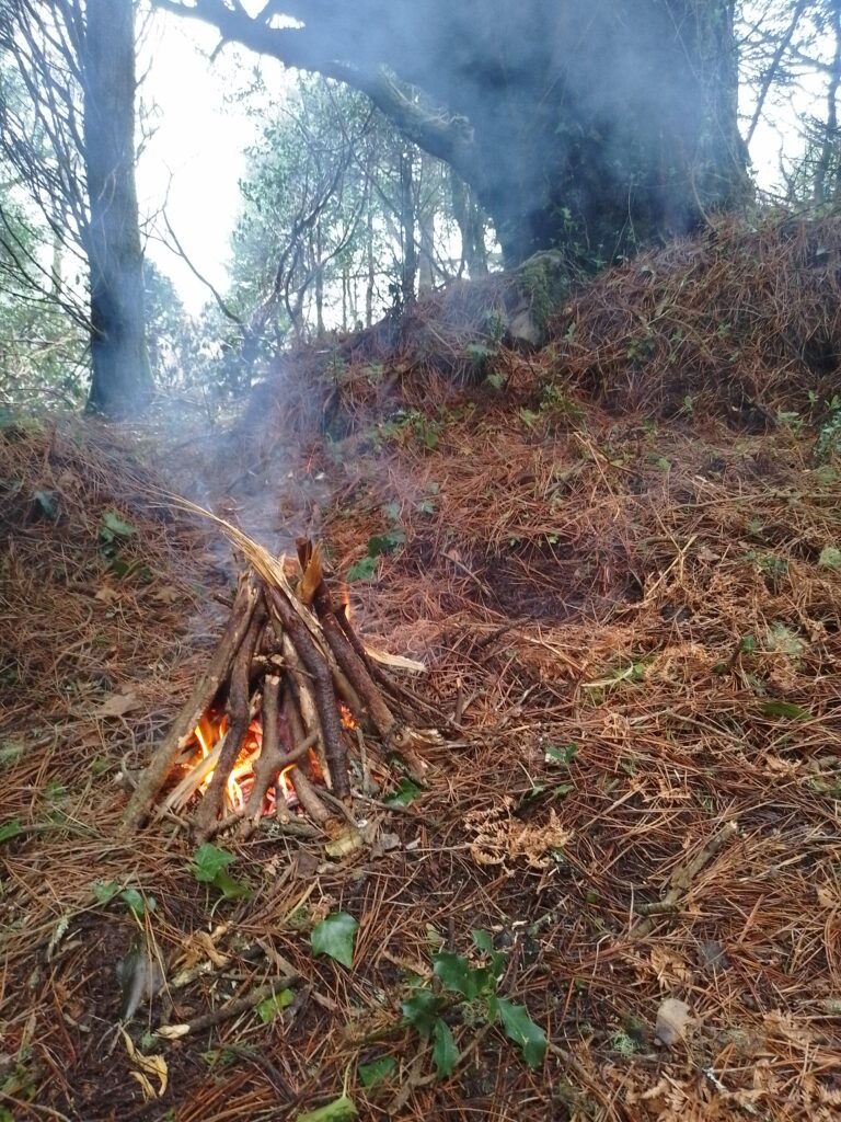 Bushcraft Skills 1 This Coming Weekend - Glengarriff/Cork