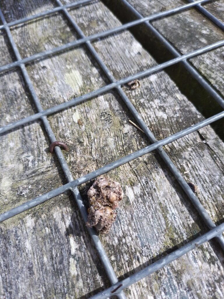 Lowland Leader Assessment Glengarriff Cork Ireland