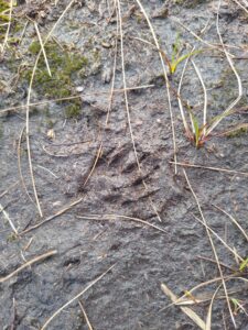 Lowland Leader Assessment Glengarriff Cork Ireland