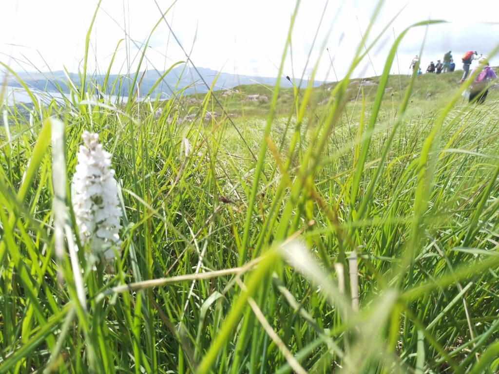 Singles Hiking Group (Kerry/Cork/West Cork)