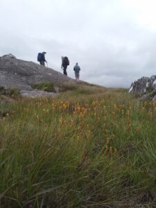 Lowland Leader Training Glengarriff Cork