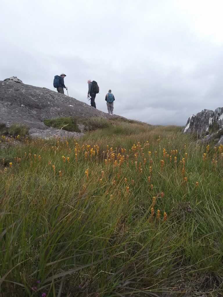 Lowland Leader Training Glengarriff Cork