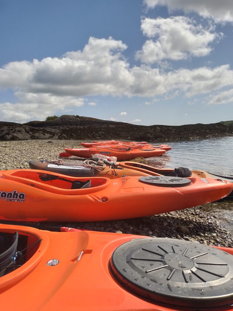 Bioluminescence Night Kayaking Available In Glengarriff Bay / West Cork