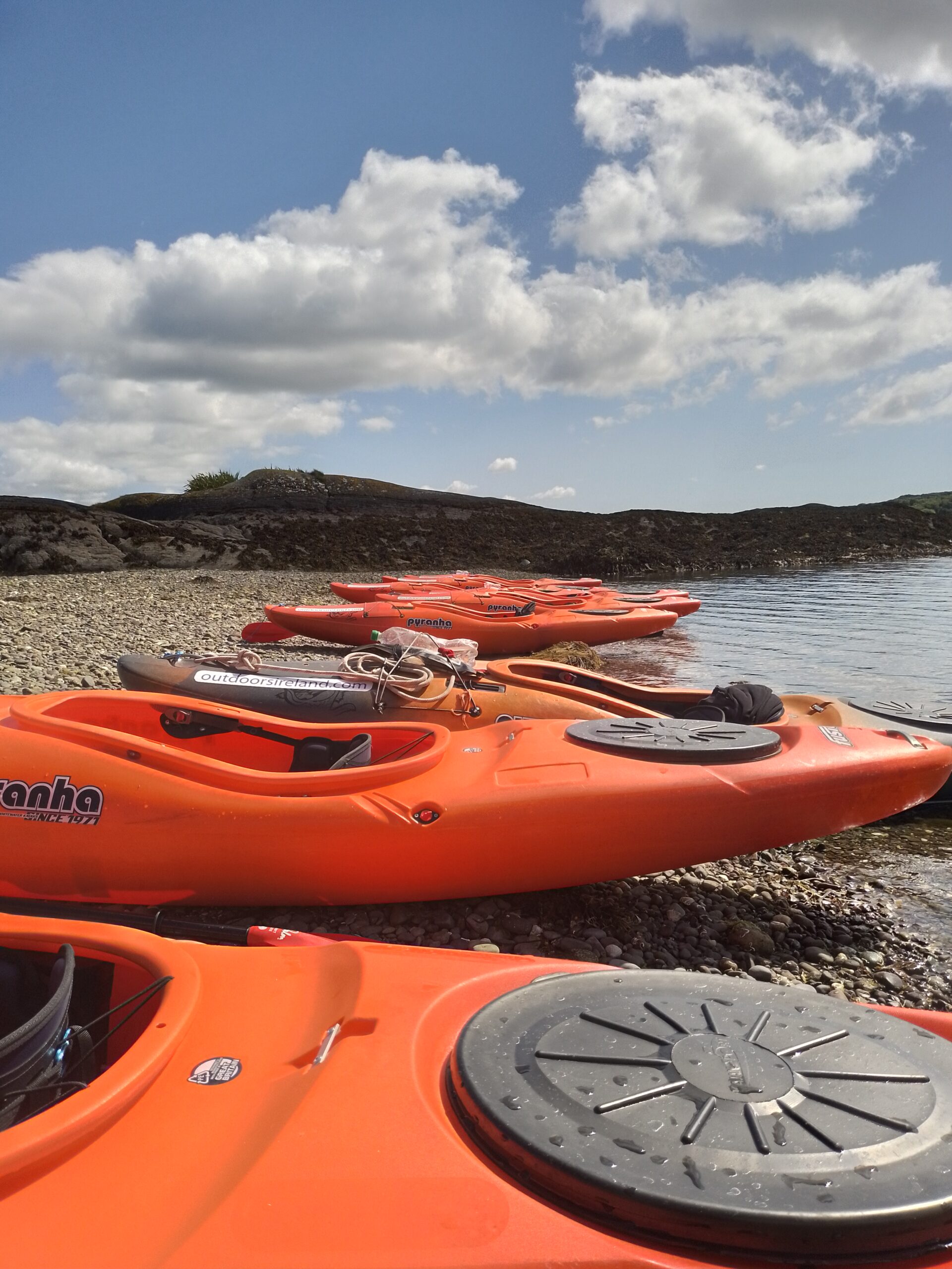 bioluminescence night kayaking tour cork