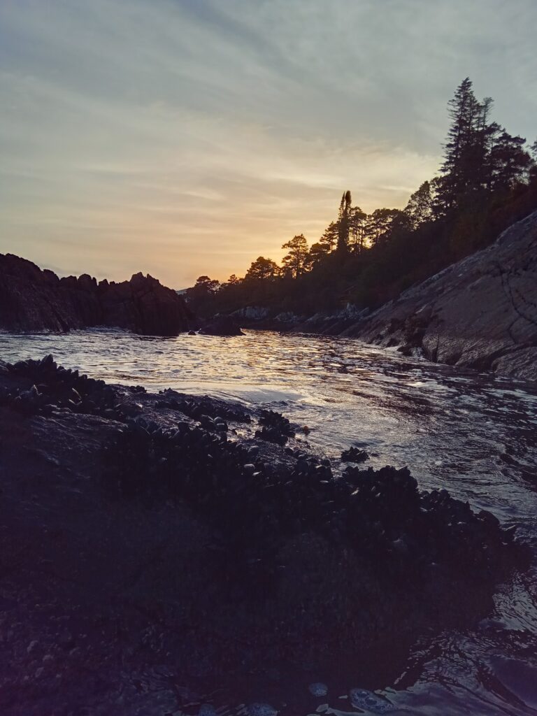 Evening Sunset Kayaking Tour Glengarriff Bay Ireland