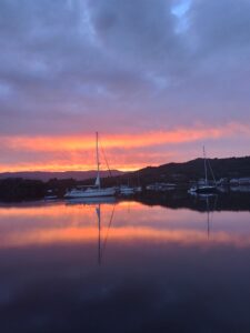 Sea Kayaking in Glengarriff Bay back available from this Thurs 5th Oct!