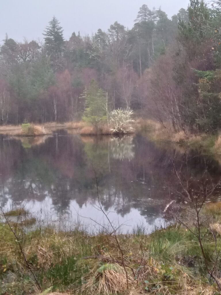 Mountain Skills 1 Kinvara Galway Burren