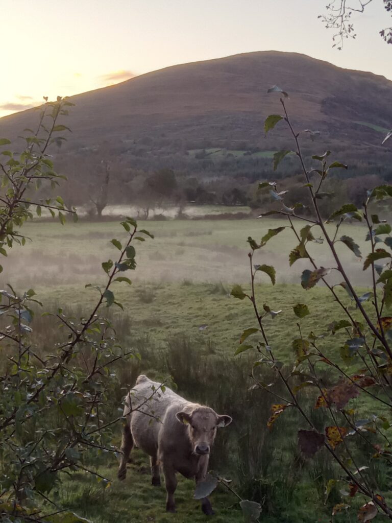 Sunset & Mist In Bonane Valley, As We Finish A Lowland Leader Training Course :)