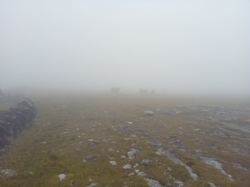 Chilly & Beautifully Misty Mountain Skills 1 Training; Up In The Burren Hills This Weekend