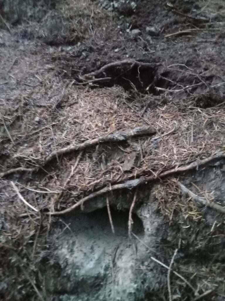 Dakota Fire Pit Bushcraft Survival Skills Training