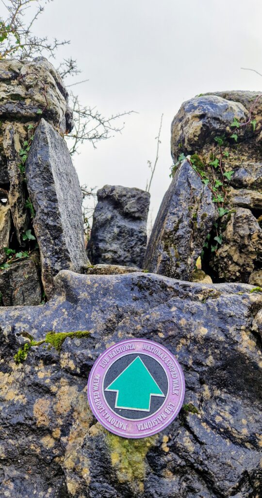 Lowland Leader Training Ireland Nathan Kingerlee