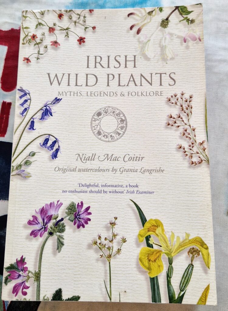 Lowland Leader Training Ireland Nathan Kingerlee