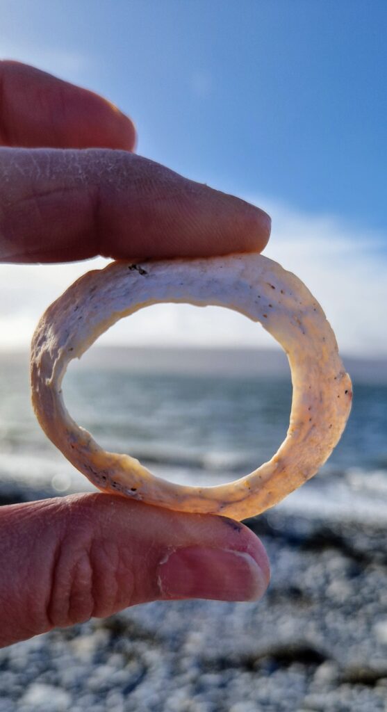 Lowland Leader Training Ireland Nathan Kingerlee