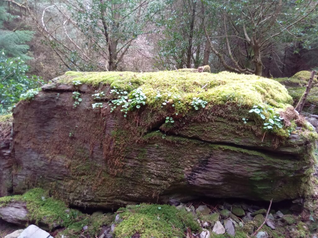 Priest & Mass Rock