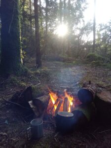 Nice Simple Bushcraft Fire
