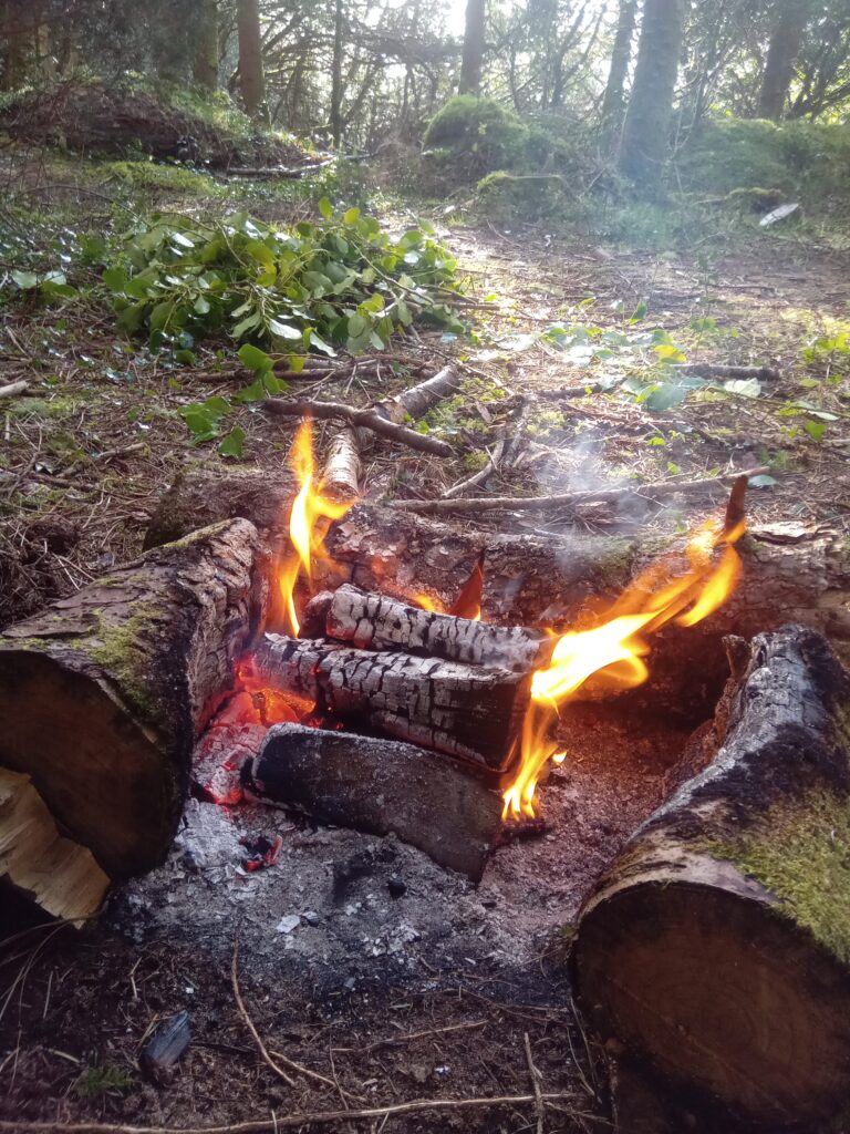 Nice Simple Bushcraft Fire