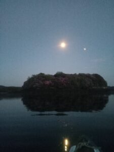 Night Bioluminescence Kayaking Glengarriff West Cork Ireland
