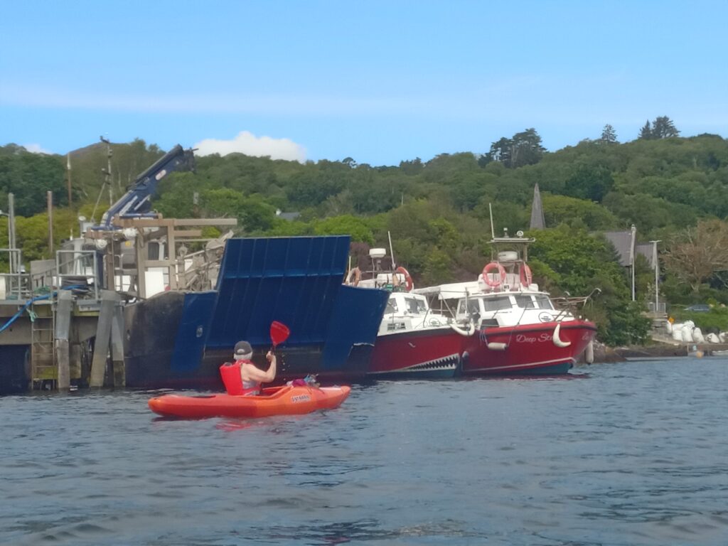 Great Days On The Water In Glengarriff Bay