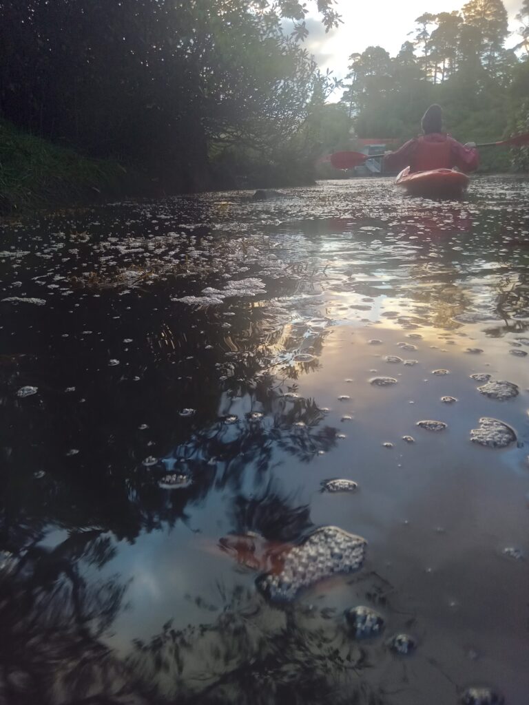 Bioluminescence Night Kayaking In Glengarriff West Cork With Nathan Kingerlee / Outdoors Ireland