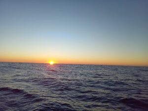 Glengarriff Bay Guided Sea Kayaking Tours