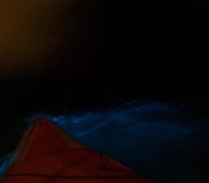 Bioluminescence Night Kayaking Tours Glengarriff Bantry West Cork