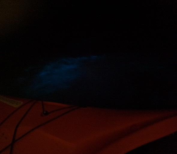 Bioluminescence Night Kayaking Tours Glengarriff Bantry West Cork