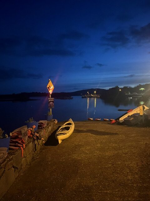 Stunning Bioluminescence Kayak Trip In Glengarriff Bay