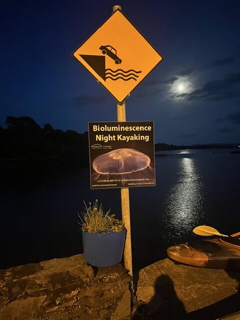 Stunning Bioluminescence Kayak Trip In Glengarriff Bay