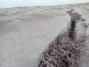 Limestone terraces up on the beautiful Burren Hills. This limestone started as a tropical sea bed approximately 350 million years ago