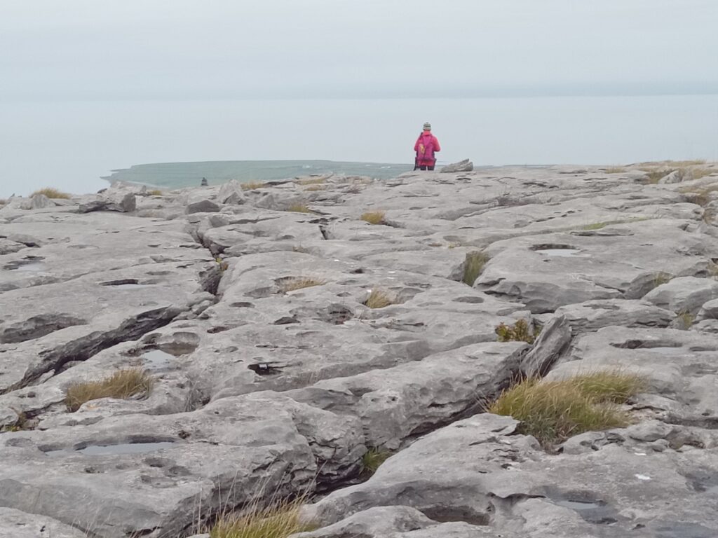 Last Few Training Courses / Assessments For 2024