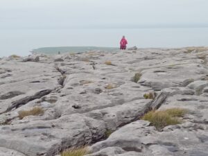 Last Few Training Courses / Assessments For 2024