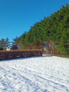 Gift Vouchers For Christmas :)