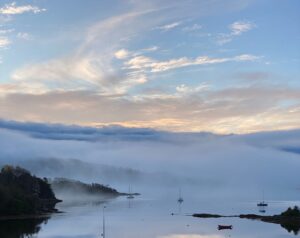 Thanks John for these fabulous bay photos, earlier this week