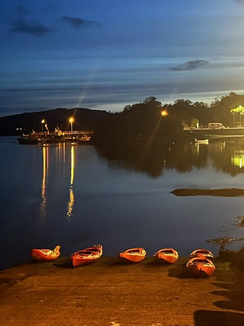 Bioluminescence Night Kayaking Still Running Strong In Glengarriff Bay This November
