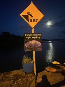 Bioluminescence Night Kayaking Still Running Strong In Glengarriff Bay This November
