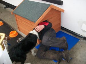 Improvised Shelter Checking