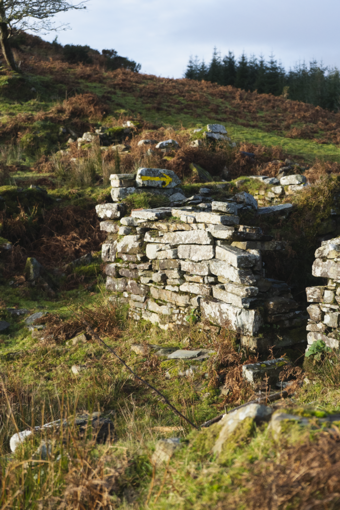 Lowland Leader Assessment Over The Weekend, In The West Cork/Glengarriff Hills