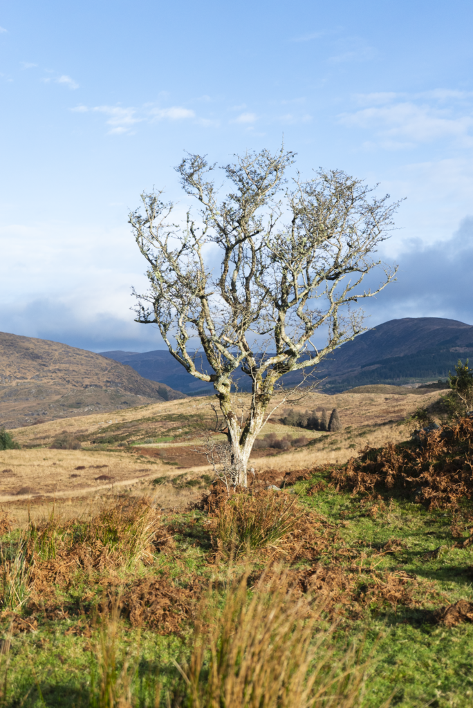 Lowland Leader Assessment Over The Weekend, In The West Cork/Glengarriff Hills