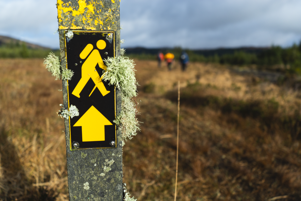 Lowland Leader Assessment Over The Weekend, In The West Cork/Glengarriff Hills