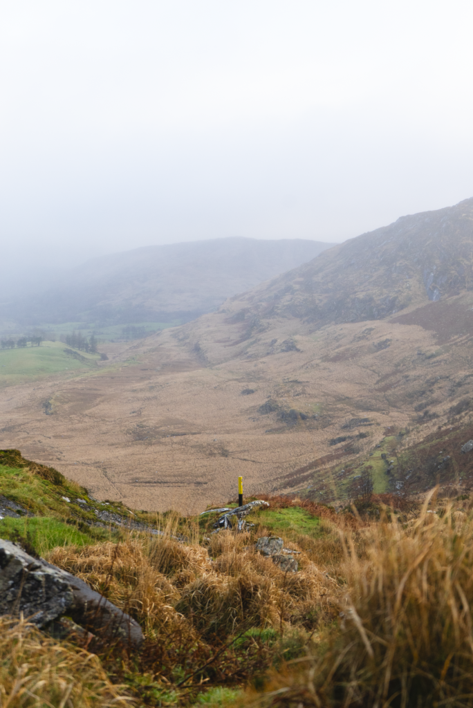 Lowland Leader Assessment Over The Weekend, In The West Cork/Glengarriff Hills