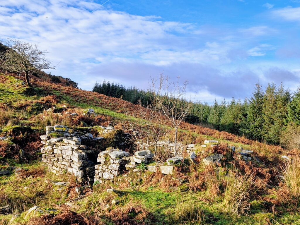 Lowland Leader Assessment Over The Weekend, In The West Cork/Glengarriff Hills