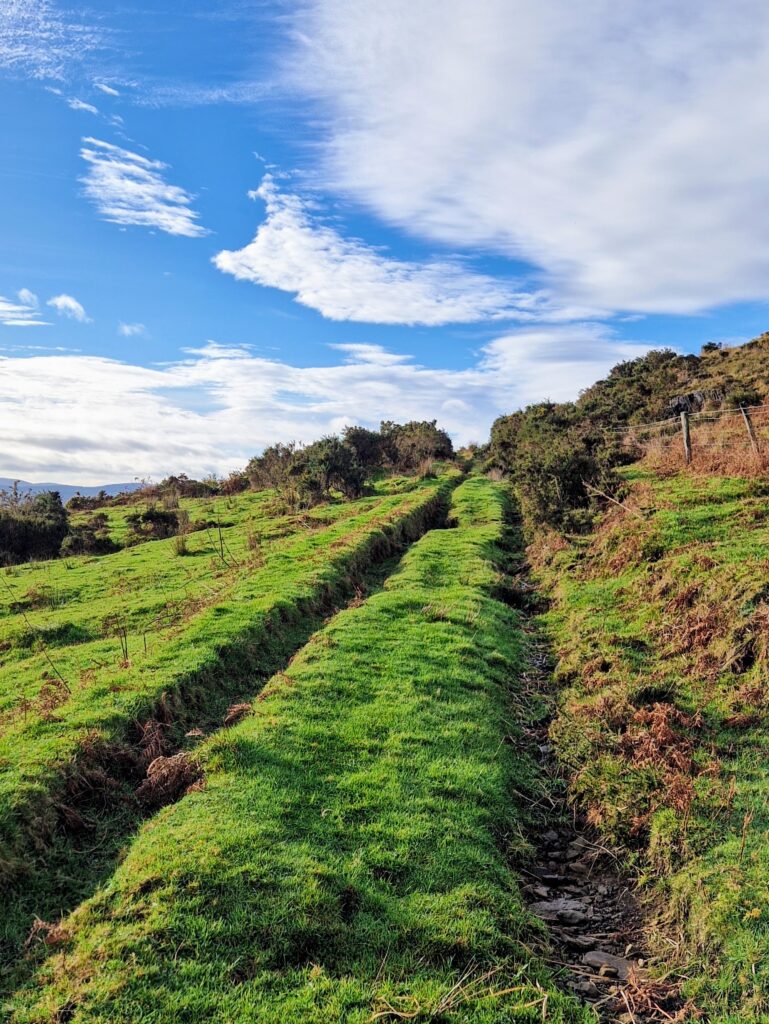 Lowland Leader Assessment Over The Weekend, In The West Cork/Glengarriff Hills