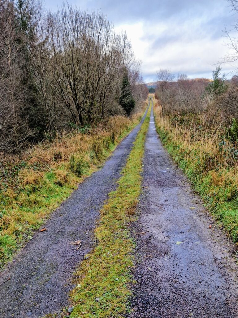 Lowland Leader Assessment Over The Weekend, In The West Cork/Glengarriff Hills