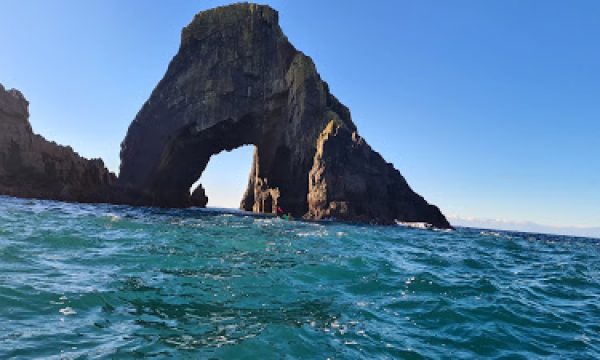 20210103_114917.jpg